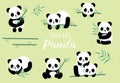 Pastel animal set with panda,bamboo illustration for sticker,postcard,birthday invitation.Editable element