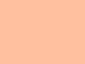 Pastel apricot background. Plain orange wallpaper