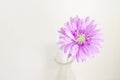 Pastel artificial flower in bottle with vintage color