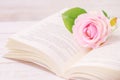 Pastel artificial rose and open book with vintage tone