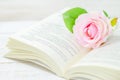 Pastel artificial rose and open book