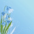 Pastel background with blue snowdrop