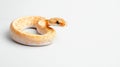 Pastel Ball Python Snake Royalty Free Stock Photo