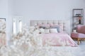 Pastel bedding on king size bed in stylish bedroom Royalty Free Stock Photo