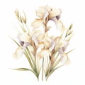 Pastel Beige Iris Eucalyptus Watercolor Illustration