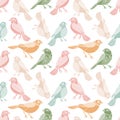 Pastel birds seamless pattern in watercolor flat style