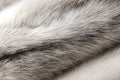 Pastel black cross mink fur texture Royalty Free Stock Photo