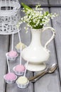 Pastel cake pops on rustic grey wooden table Royalty Free Stock Photo