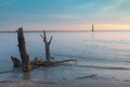 Folly Beach Charleston South Carolina Lighthouse Royalty Free Stock Photo