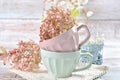 Pastel color mugs with dried hydrangea flowers