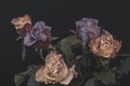 Pastel color fine art rose bouquet on black background in vintage painting style Royalty Free Stock Photo