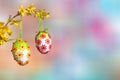 Pastel colored background, branch with group of easter eggs Royalty Free Stock Photo