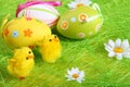 Pastel and colored Easter eggs