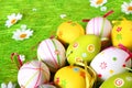 Pastel and colored Easter eggs Royalty Free Stock Photo