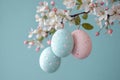 Easter eggs hanging from a blossoming cherry tree branch on a turquoise background Royalty Free Stock Photo