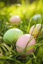Pastel-colored easter eggs nestled among vibrant green grass capture the essence of spring, celebrating the joy of easter egg Royalty Free Stock Photo