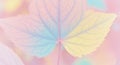 Pastel Colored Leaf Close Up Macro Photography Royalty Free Stock Photo
