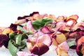 Pastel colored roses withered in the snow with scattered petals. Close-up. selective focus. Royalty Free Stock Photo