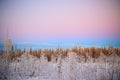 Pastel-colored sky over winterly forest in Northern Sweden