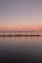 Pastel colored sunset over crabbing dock in Oregon with people and seagulls. Royalty Free Stock Photo