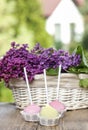 Pastel colors cake pops on wooden table Royalty Free Stock Photo