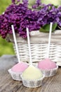 Pastel colors cake pops on wooden table Royalty Free Stock Photo