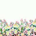 Spring border with branches of blossoming fruit tree on white background Royalty Free Stock Photo