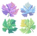 Pastel colors green, blue, purple grape leaves vector collection set. Good for wine bar restaurant menu, card decoration Royalty Free Stock Photo