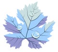 Light blue grape leave in dew drops flat style vector.