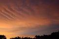 Cirrus clouds, Orange to blue sky. Royalty Free Stock Photo