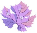 Purple pink grape leave in dew drops flat style vector.