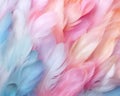 Pastel colour feather abstract background.