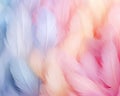 Pastel colour feather abstract background.