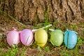 Pastel Coloured Easter Eggs Behind a Tree Trunk Royalty Free Stock Photo