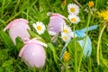 Pastel Coloured Easter Eggs among Flowers Royalty Free Stock Photo