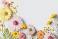 pastel coloured flowers on a white background, spring concept, Generative Ai