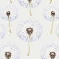 Pastel Dandelion Seed Head Pattern Background Royalty Free Stock Photo