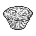 Pastel de nata sketch vector illustration Royalty Free Stock Photo