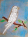 Pastel drawing of a white parrot - made by child