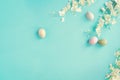 Pastel Easter Eggs and Flowers Background