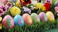 Pastel Easter Eggs. Grass and Flowers. Celebrating Easter Royalty Free Stock Photo