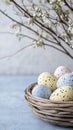 Pastel Easter eggs in woven basket with blossoming branches, creating fresh and charming spring aesthetic Royalty Free Stock Photo