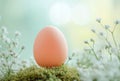 Pastel Egg Resting on Moss Surrounded by Delicate Blossoms, generative ai Royalty Free Stock Photo