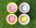Pastel Eggs with 4 Cups in Grass background Royalty Free Stock Photo