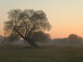 Pastel Evening Colours at a Meadow