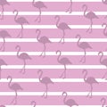 Pastel Flamingo Stripe Pattern Design