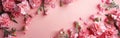 Pastel Flower Banner: Pink Carnations on Soft Pink Background