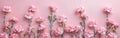 Pastel Flower Banner: Pink Carnations on Soft Pink Background