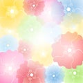 Pastel Flower Blossoms Background