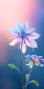 Vibrant Floral Mobile Wallpaper With Elegant Columbine Royalty Free Stock Photo